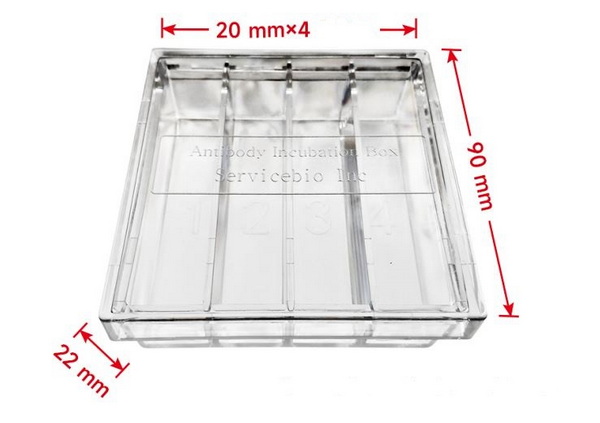 Бокс для инкубации антител, 4 отсека, PC, прозрачный