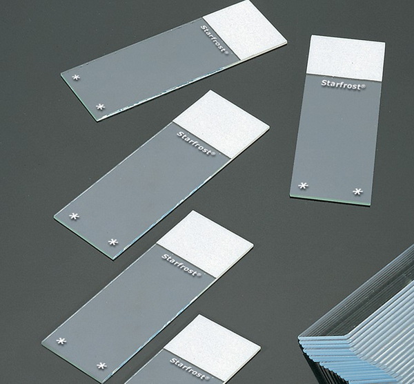 Стекла предметные STAR FROST ADHESIVE, 26х76 мм, края шлиф. 90º, углы прям., 50 шт/упак