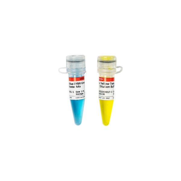Мастер-микс для количественной ПЦР Universal Blue SYBR Green, 2х, 1 мл