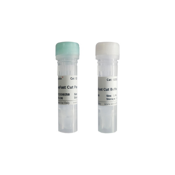 Эндонуклеаза рестрикции SweFast Cut PaeR7I, 100 реакций