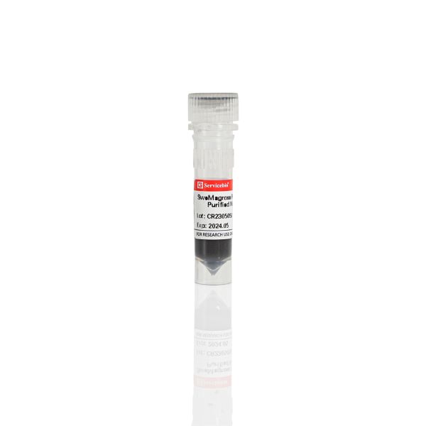 Магнитные шарики для очистки антител SweMagrose Protein A, 1 мл