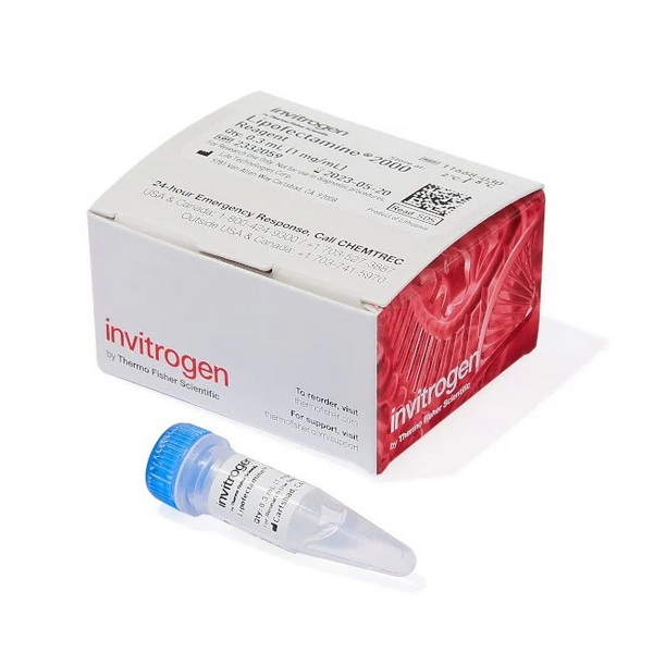 Трансфекционный реагент Lipofectamine 2000, 0.3 мл