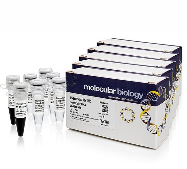 Маркеры мол. массы ДНК, 100-1000 п.о., GeneRuler DNA Ladder Mix (21 фрагмент), с красителем,