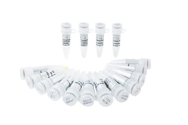 Набор для подготовки библиотеки TransNGS Fast RNA-Seq для Illumina, 96 реакций