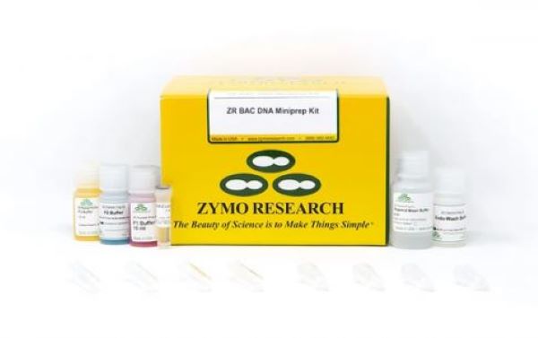 Набор для выделения BAC-ДНК ZR BAC DNA Miniprep Kit, спин-колонки, 100 реакций