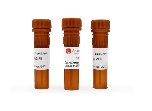 Антитела вторичные, поликлон. IgG, хозяин коза, мишень кролик, Solar (SAlexa) Fluor 488, 100 мкл