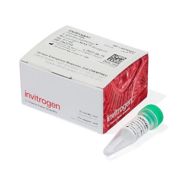 Трансфекционный реагент Lipofectamine MessengerMAX, 0.1 мл