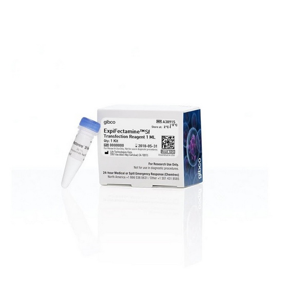 Трансфекционный реагент ExpiFectamine Sf, 1 мл