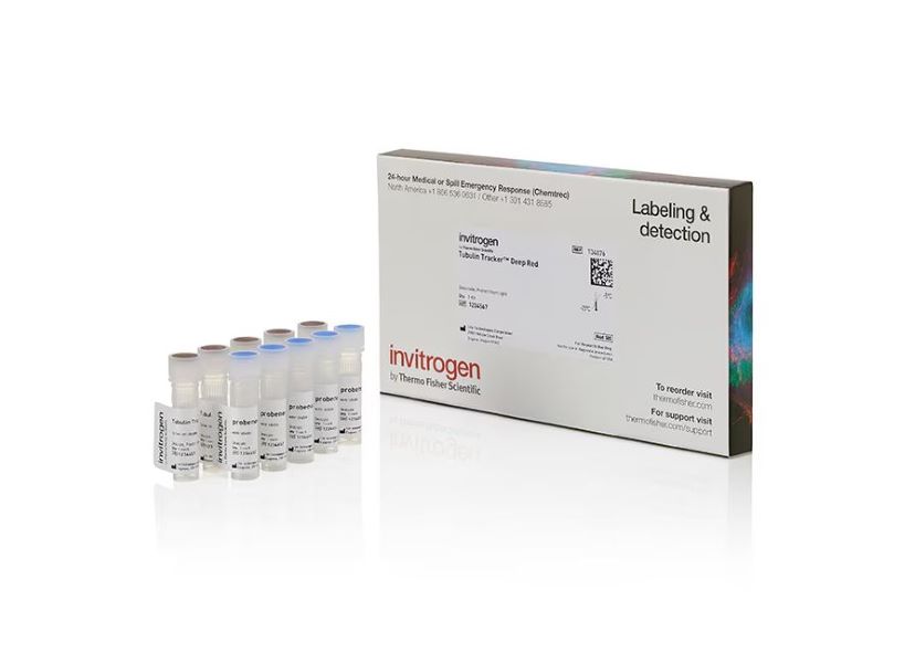 Краситель Tubulin Tracker, темно-красный, 300 слайдов