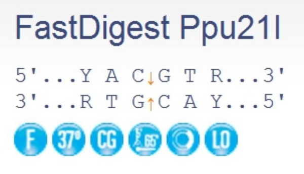 Эндонуклеаза рестрикции ускоренного гидролиза FastDigest Ppu21I, 50 реакций