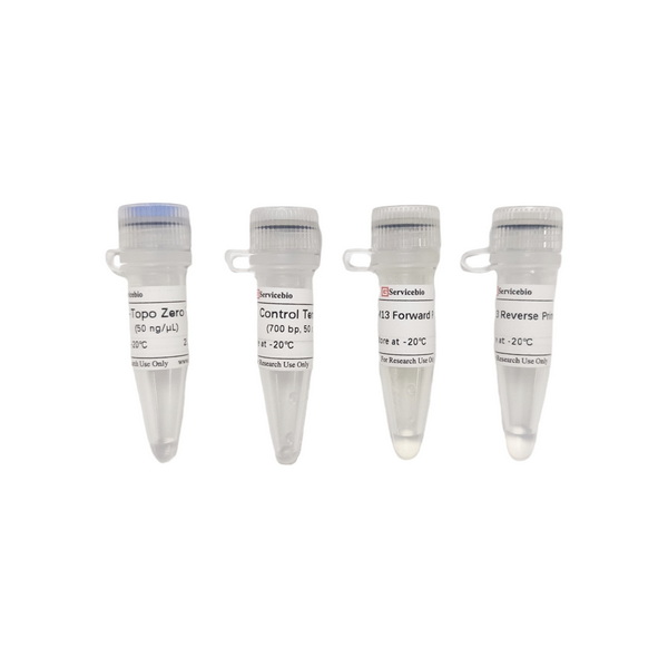 Набор для нулевого клонирования pSWE-Topo, 25 реакций