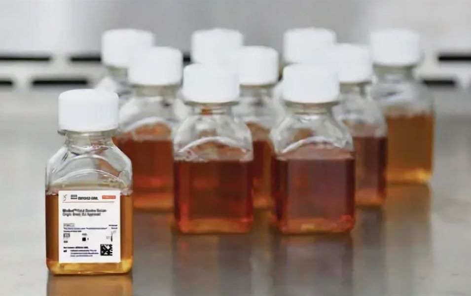 Сыворотка фетальная бычья (FBS), Research Grade, США, 10 х 50 мл