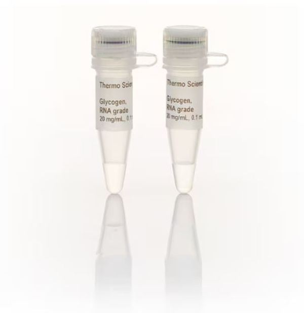 Гликоген, RNA grade, 2 x 0.1 мл