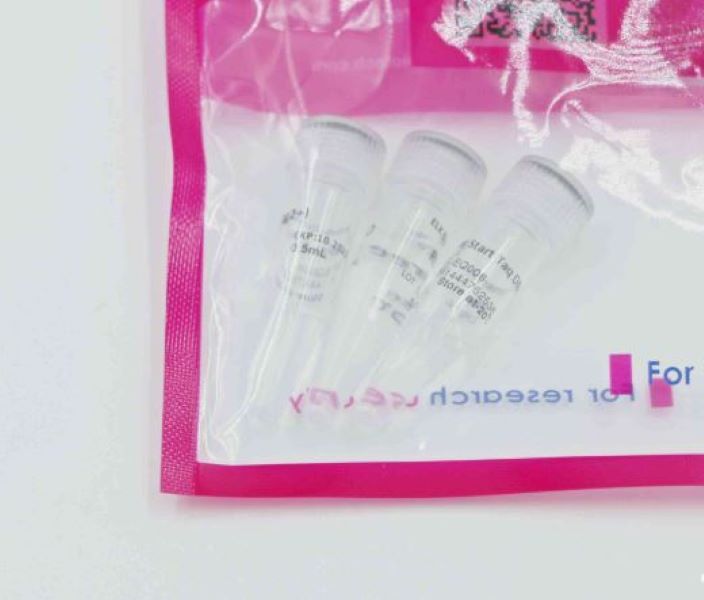 ДНК полимераза Taq, с горячим стартом, 500 мкл/2500 ед