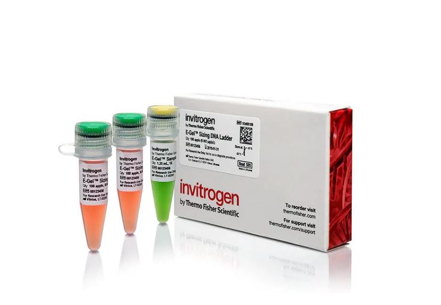 Маркер молекулярной массы ДНК E-Gel, 50-1500 п. о. (19 фрагментов), 100 реакций