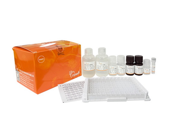 Одностадийный набор ИФА для определения HIV-p24, HIV-p24 ELISA Kit, One-step, 96 тестов/box