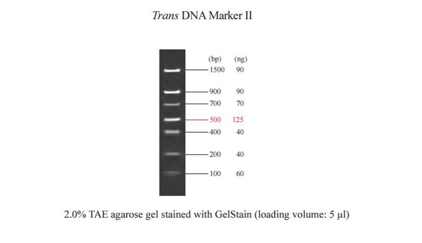 Маркеры молекулярной массы ДНК, 100-1500 п.о., Trans DNA Marker II, готовые к использованию, 500 мкл
