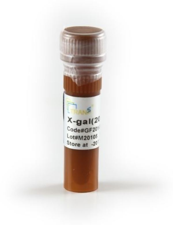 β-галактозидаза (X-gal), 1 мл