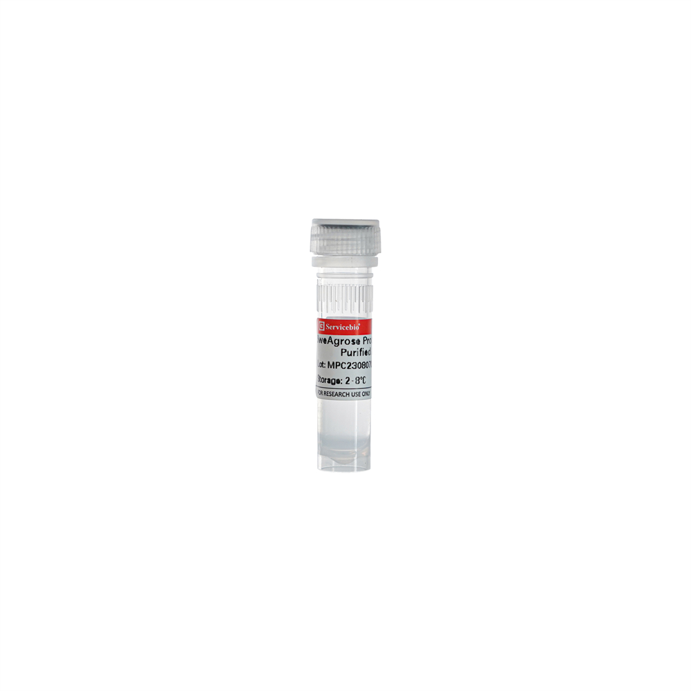 Агарозный гель для очистки антител SweAgarose Protein A, 1 мл