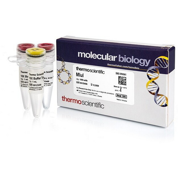 Эндонуклеаза рестрикции MluI, 10 ед/мкл, 1000 единиц