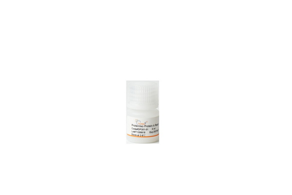 Сорбент для очистки антител ProteinIso Protein A Resin, 5 мл