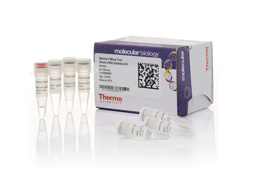 Набор Maxima H Minus для синтеза кДНК на основе первой цепи, 100 реакций