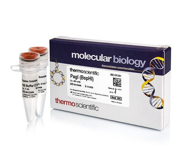 Эндонуклеаза рестрикции PagI (BspHI), 10 ед/мкл, 400 единиц