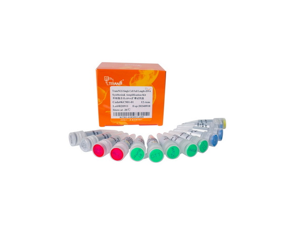Набор синт. и ампл. кДНК ед. клеток TransNGS Single Cell Full cDNA Synt. & Amplif. Kit, 12 реакций