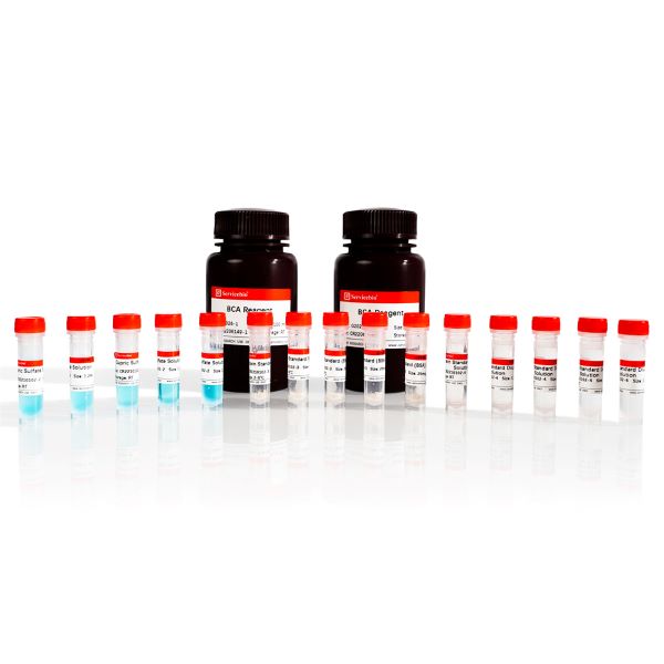 Набор реагентов для количественного определения белка методом BCA, 1000 реакций
