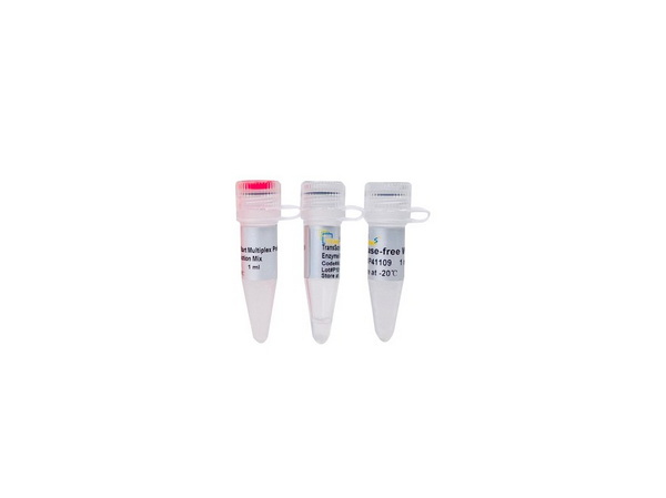 Мастер-микс для мульт. одноэт. qRT-PCR TransScript II Multiplex Probe UDG, 100 р. х 20 мкл р. смеси