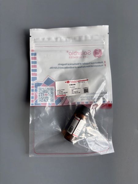 Фукоидан, 85%, CAS 9072-19-9, 100 мг