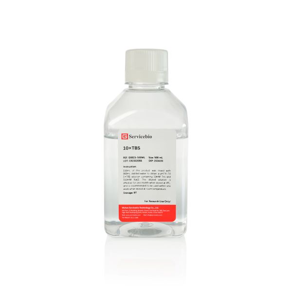 Буфер трис-HCL (TBS), 10-кратный, 500 мл