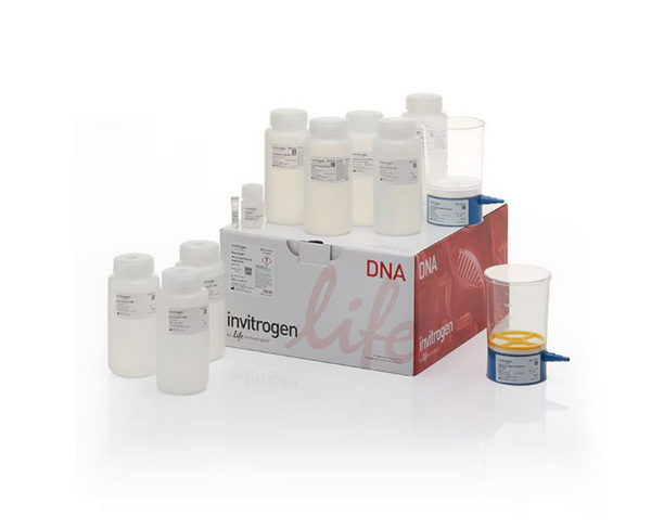Набор для выделения плазмидной ДНК PureLink HiPure Expi Plasmid Gigaprep