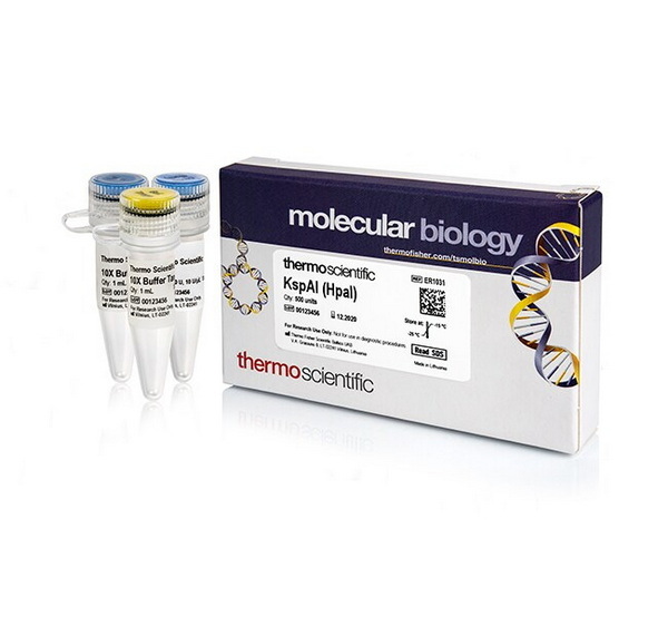 Эндонуклеаза рестрикции KspAI (HpaI), 10 ед/мкл, 500 единиц