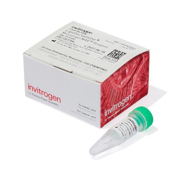 Трансфекционный реагент Lipofectamine MessengerMAX, 0.3 мл