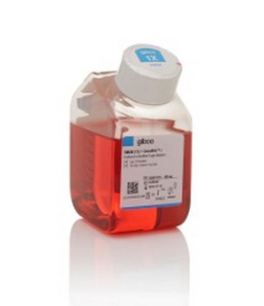 Среда культуральная DMEM, низ. сод. глюк., GlutaMAX, фенол. красный, без HEPES, 500 мл