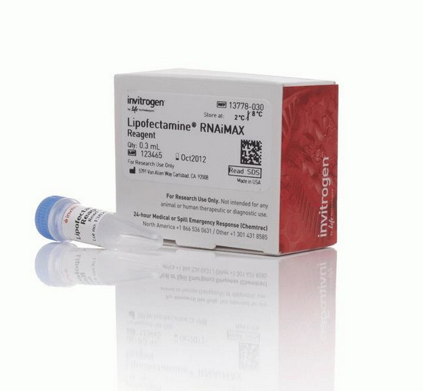 Трансфекционный реагент Lipofectamine RNAiMAX, 0.3 мл