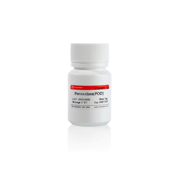 Пероксидаза хрена (HRP), > 300 ед/мг, CAS 9003-99-0, 1 г