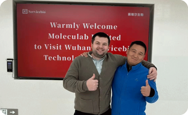Молекулаб и Servicebio
