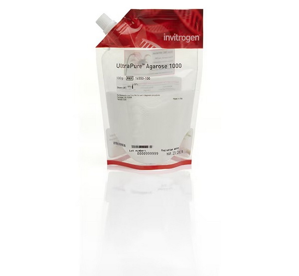 Агароза-1000, UltraPure, 100 г