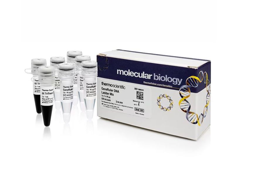 Маркеры молекулярной массы ДНК, 100-1000 п.о., GeneRuler (21 фрагмент), 5 x 50 мкг