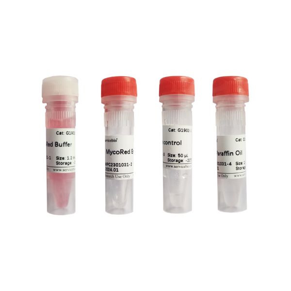 Набор для обнаружения микоплазм (метод изотермической амплификации), 50 реакций