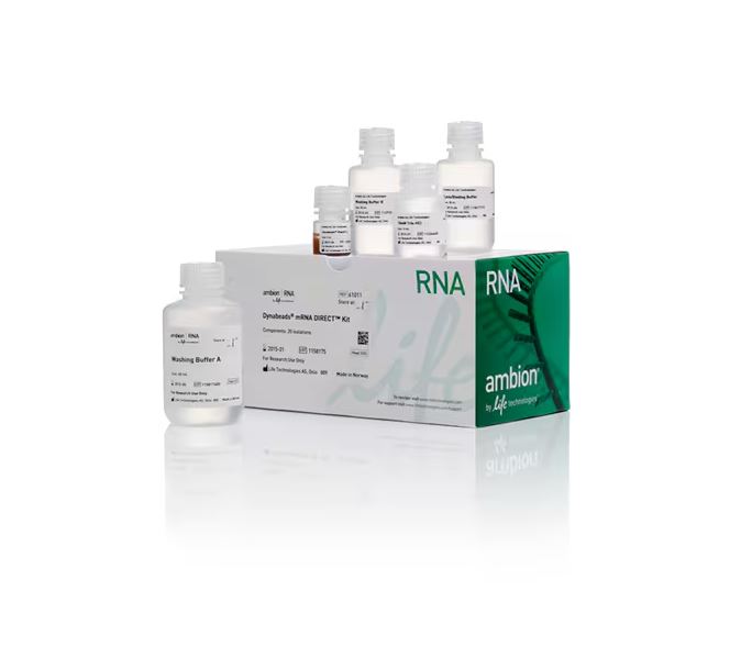 Набор Dynabeads mRNA Direct для выделения мРНК из неочищенного лизата клеток на основе магнитных час
