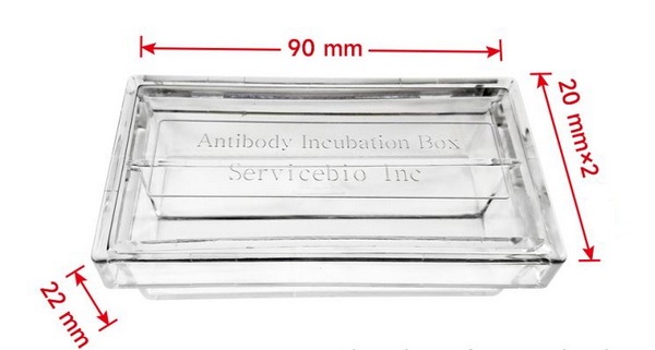Бокс для инкубации антител, 2 отсека, PC, прозрачный