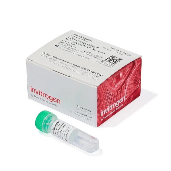Трансфекционный реагент Lipofectamine MessengerMAX, 1.5 мл