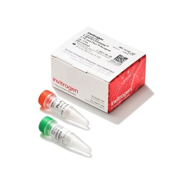 Набор трансфекционных реагентов: Lipofectamine LTX (1 мл), реагент PLUS (0.85 мл), 1 шт