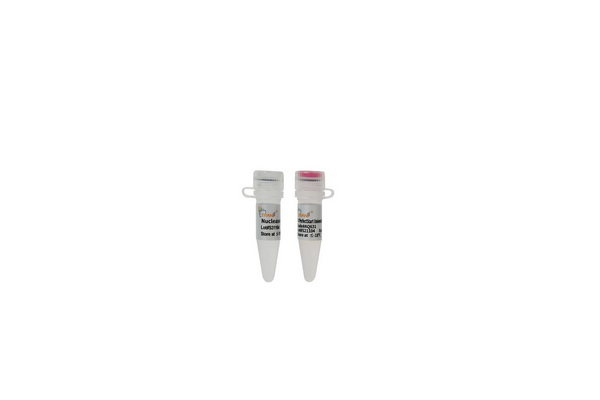 Мастер-микс для qPCR PerfectStart Universal Green, 1 мл