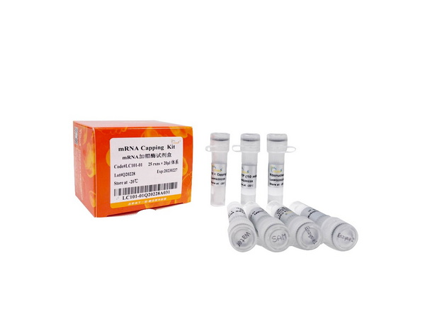 Набор для кэпирования мРНК mRNA Capping, 25 реакций