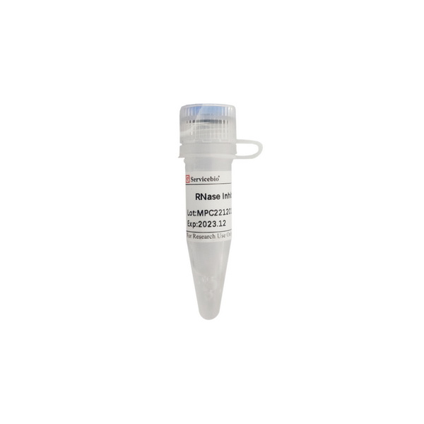 Ингибитор РНКазы, Molecular Biology Reagent, 10000 единиц
