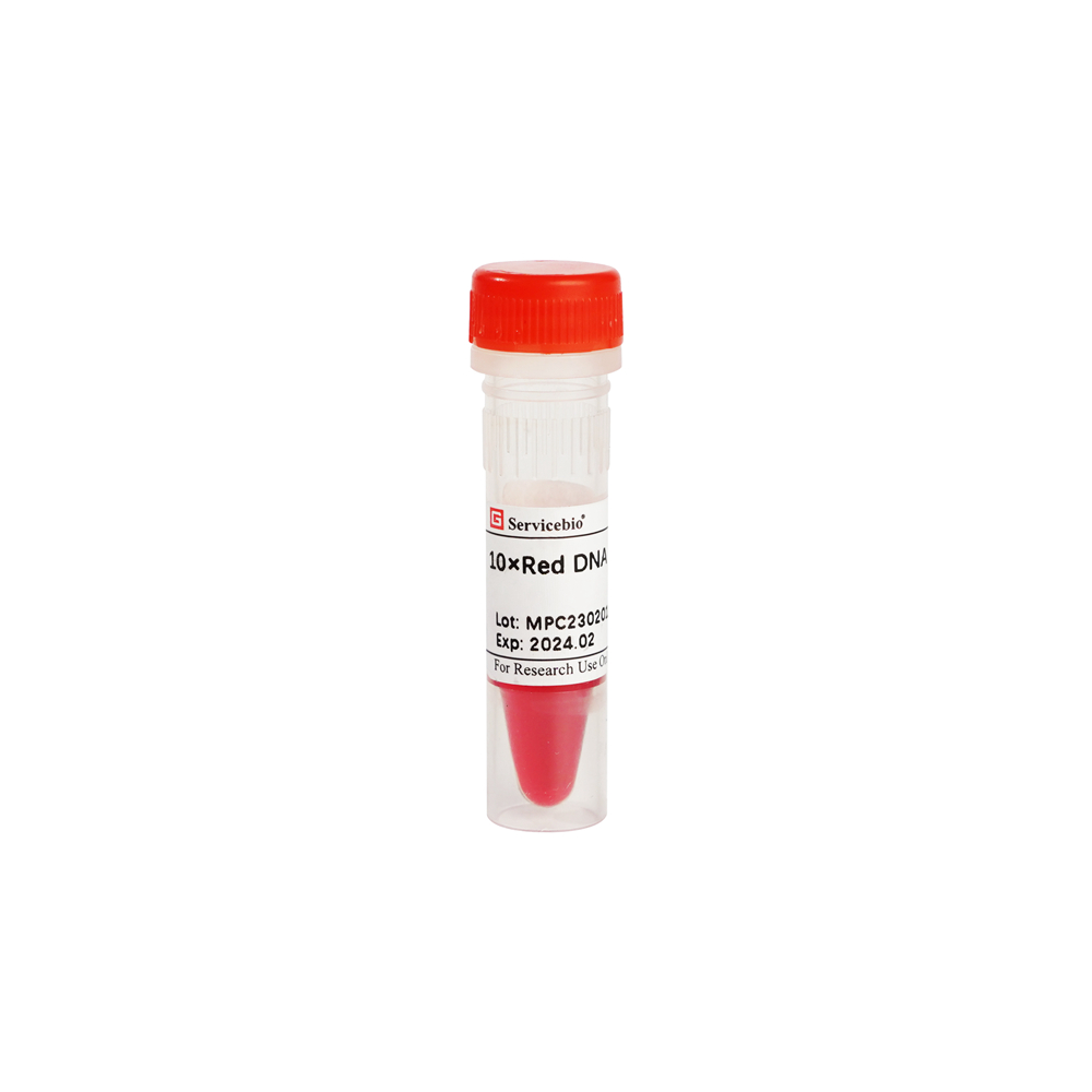 Буфер для загрузки ДНК Red, 10X, 1 мл